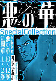 悪の華　SpecialCollection