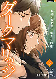 ダークマリッジ～疑惑の婚約者と消された初恋～