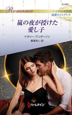 嵐の夜が授けた愛し子