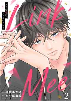 Link Mee ～この恋は、フィクション～　（2）