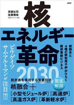 核エネルギー革命2030　核融合と4種の新型原子炉がひらく脱炭素新ビジネス