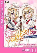 異世界メイドがやってきた～異邦人だった頃のメイドが現代の我が家でエッチなメイドさんに～【分冊版】（ノヴァコミックス）１１