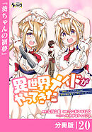 異世界メイドがやってきた～異邦人だった頃のメイドが現代の我が家でエッチなメイドさんに～【分冊版】（ノヴァコミックス）２０