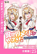 異世界メイドがやってきた～異邦人だった頃のメイドが現代の我が家でエッチなメイドさんに～【分冊版】（ノヴァコミックス）２５