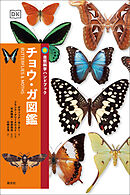 自然科学ハンドブック　チョウ・ガ図鑑