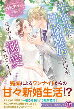 半年後に円満離婚のはずが、なぜだか溺愛されています【特典SS付】【イラスト付】【電子限定描き下ろしイラスト＆著者直筆コメント入り】