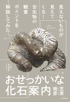 おせっかいな化石案内：見えないものが見えてくる！ 古生物の観賞ポイントを解説してみた
