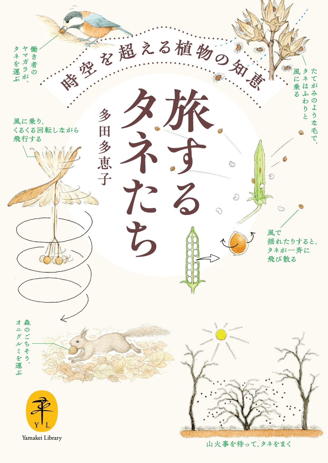 多田多圭子　無修正 