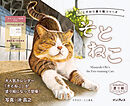 こだわり塗り絵シリーズ　そとねこ　Masayuki Oki’s the Free-roaming Cats