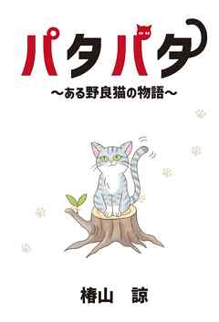 パタパタ～ある野良猫の物語～
