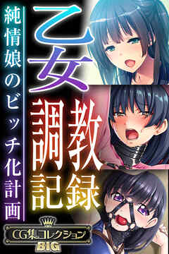 乙女調教記録～純情娘のビッチ化計画～【CG集コレクションBIG】