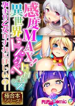 感度MAX！異世界ドスケベヒロインズ ～孕ませ乙女はナカにほしいの…～【極合本シリーズ】