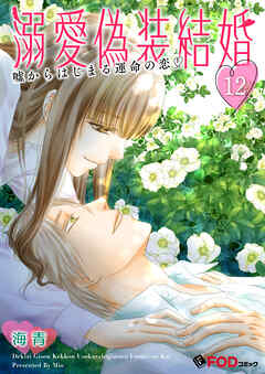 溺愛偽装結婚 -嘘からはじまる運命の恋- 12