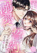 溺愛誓約～意地悪なカレの愛し方～１３