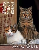 岩合光昭 ニッポン看板猫