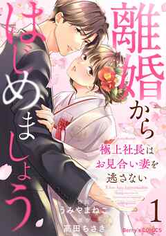 【期間限定　無料お試し版】離婚からはじめましょうー極上社長はお見合い妻を逃さないー