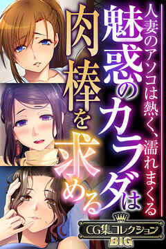 魅惑のカラダは肉棒を求める～人妻のアソコは熱く、濡れまくる～【CG集コレクションBIG】