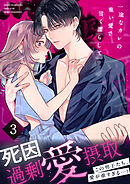 死因：過剰“愛”摂取～一途なカレの重い愛で甘く濡らして…【分冊版】(3)