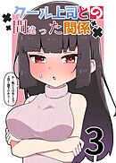 クール上司との間違った関係【分冊版】 ３