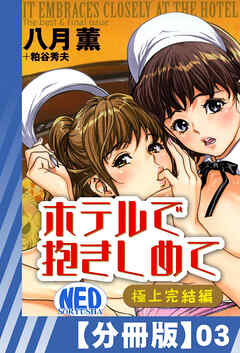 【分冊版】ホテルで抱きしめて 極上完結編（３）