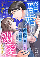離婚したはずなのに、冷徹エリート御曹司に容赦なく溺愛されています２１