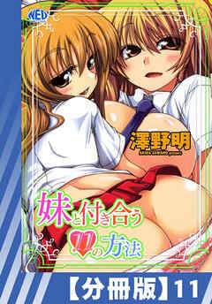 【分冊版】妹と付き合う11の方法（１１）