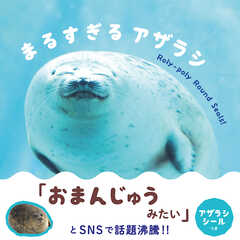 まるすぎるアザラシ