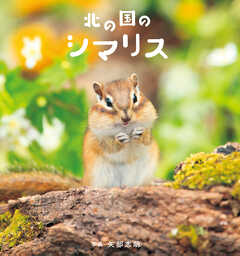 北の国のシマリス - 矢部志朗 - 写真集・無料試し読みなら、電子書籍・コミックストア ブックライブ