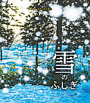 はじめてのかがくのえほん　雪のふしぎ