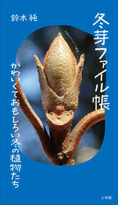 冬芽ファイル帳 ～かわいくておもしろい冬の植物たち～