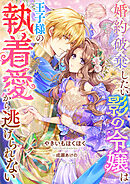婚約破棄したい影の令嬢は王子様の執着愛から逃げられない