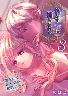 仇なす者に捕らわれて(3)～堕ちゆくエルフの快楽ゲーム～