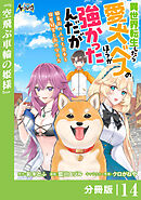 異世界転生したら愛犬ベスのほうが強かったんだが～職業街の人でも出来る宿屋経営と街の守り方～【分冊版】（ノヴァコミックス）１４
