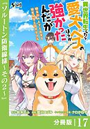 異世界転生したら愛犬ベスのほうが強かったんだが～職業街の人でも出来る宿屋経営と街の守り方～【分冊版】（ノヴァコミックス）１７