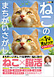 毎日脳活スペシャル　ねこのまちがいさがし１　にゃんと１分見るだけ！記憶脳瞬間強化