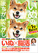 毎日脳活スペシャル　いぬのまちがいさがし　柴犬多めの巻　ワン！ミニット見るだけ！記憶脳瞬間強化