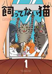 【期間限定　試し読み増量版】飼ってない猫（１）