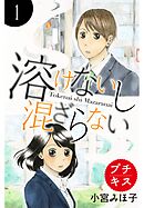 【期間限定　無料お試し版】溶けないし混ざらない　プチキス