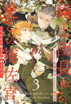 騎士団長の愛しの補佐官　～そばかす騎士は溺愛される～【３】