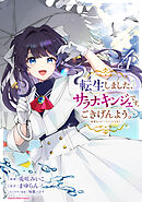 転生しました、サラナ・キンジェです。ごきげんよう。　～優雅なスローライフで大忙し～