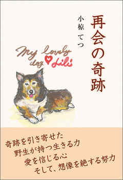 再会の奇跡