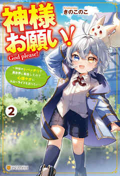 神様お願い！　～神様のトバッチリで異世界に転生したので心穏やかにスローライフを送りたい～２