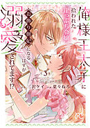 俺様王太子に拾われた崖っぷち令嬢、お飾り側妃になる…はずが溺愛されてます！？　3