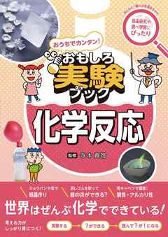 おうちでカンタン！おもしろ実験ブック 化学反応