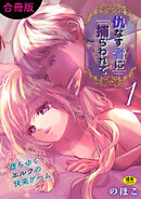 仇なす者に捕らわれて【合冊版】(1)～堕ちゆくエルフの快楽ゲーム～【18禁】