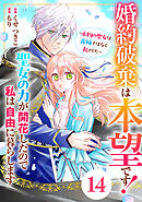 Berry’sFantasy婚約破棄は本望です！聖女の力が開花したので私は自由に暮らします～本物の聖女は義姉ではなく私でした～14巻