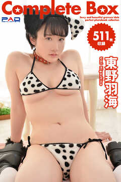 511枚収録　東野羽海　Complete Box