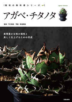 アガベ・チタノタ