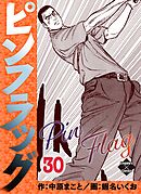 ピンフラッグ 30