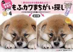 何ともかわいすぎる もふカワまちがい探し